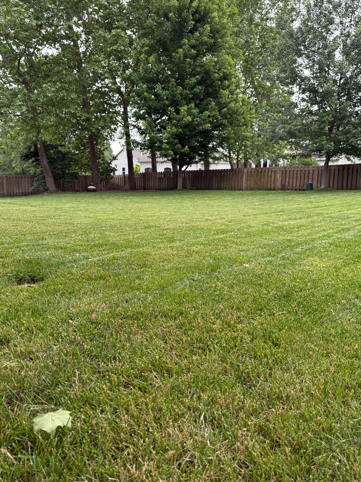 Freshly mowed backyard lawn by C&B Mowing & More